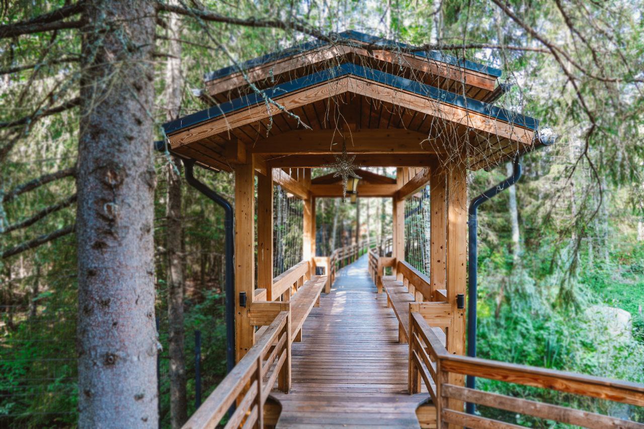 photo_2025-10-18_23-16-46 (4)